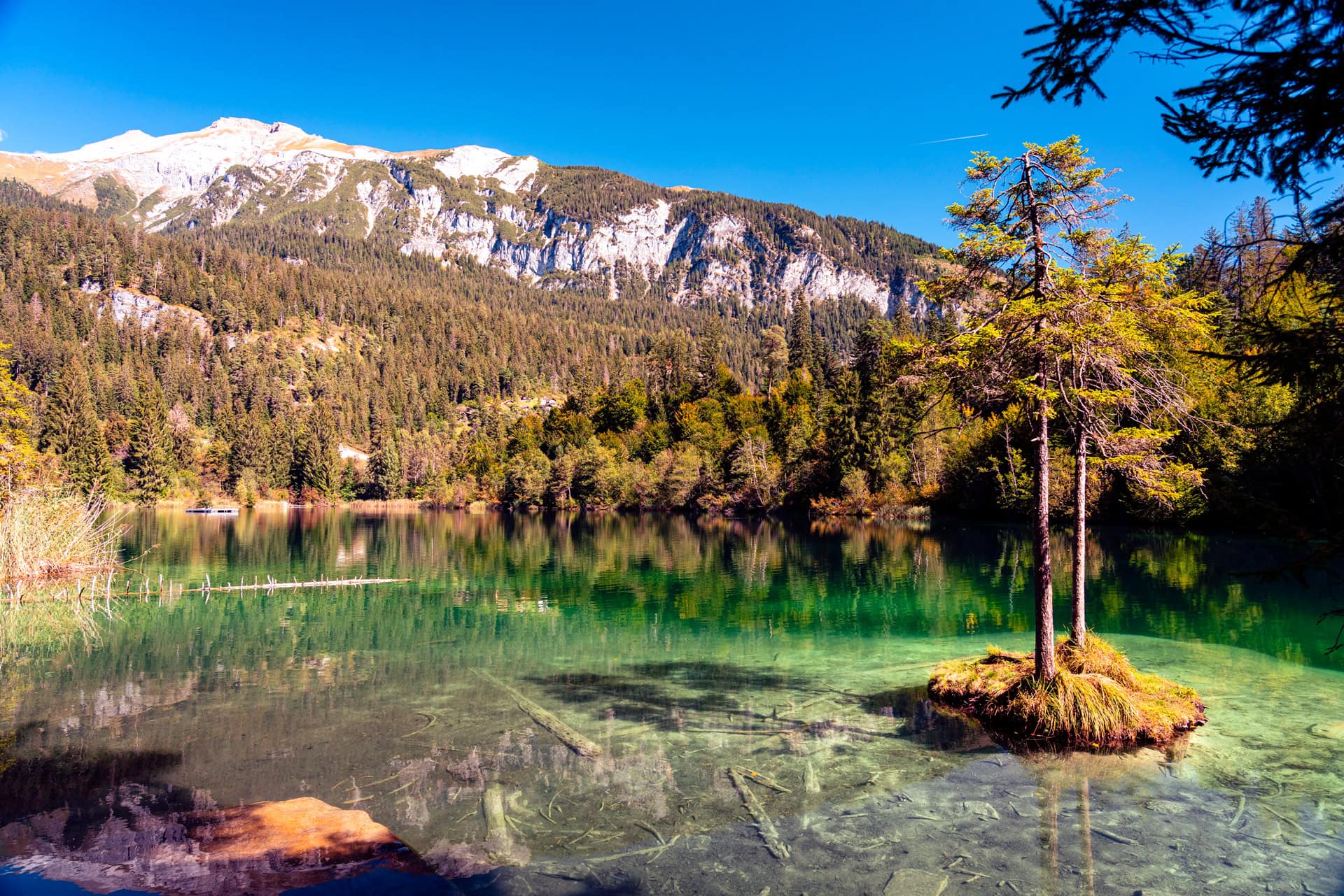 Bauminsel im klaren Crestasee mit Bergkulisse in Graubünden